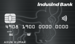 IndusInd Bank Platinum Card